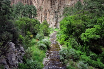 West Fork Gila River from above